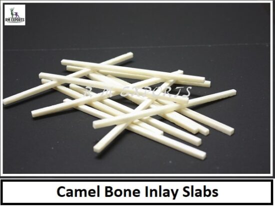 Camel Bone Slabs