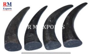 Buffalo Horn Tip