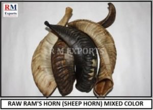 Merino Rams Horn Tip
