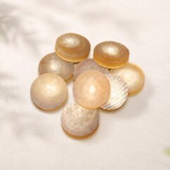 White Blond Ox Horn Coins