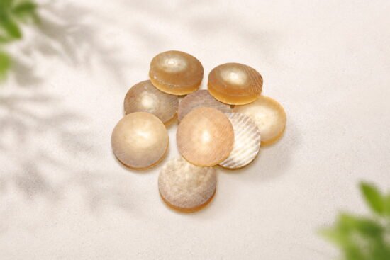 White Blond Ox Horn Coins