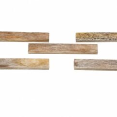 Unbleached Camel Bone Nut Blanks