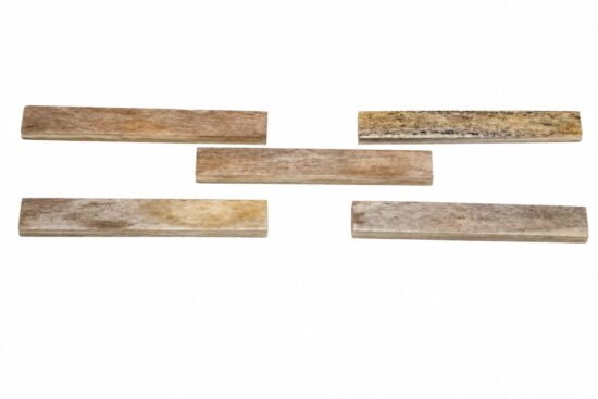 Unbleached Camel Bone Nut Blanks